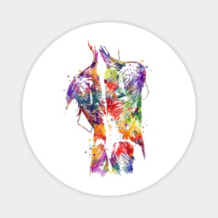 Human Back With Muscles Colorful Watercolor Gift Magnet